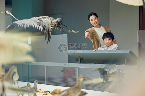 母亲带儿子观察飞禽标本图片