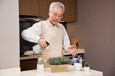 居家休闲老年人养护植物图片