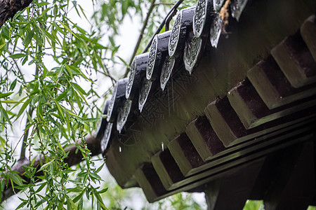 春雨下的古建筑图片