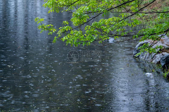 清明时节雨纷纷图片