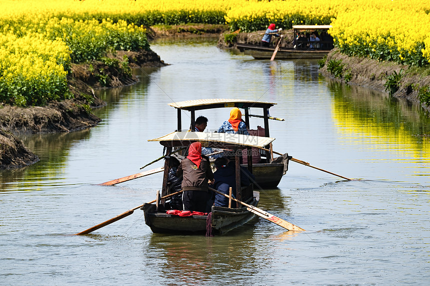 江苏兴化千垛景区水上油菜花景区船只图片