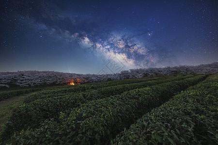 茶海平坝樱花银河星空背景