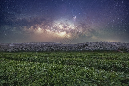 平坝樱花银河星空银河背景图片