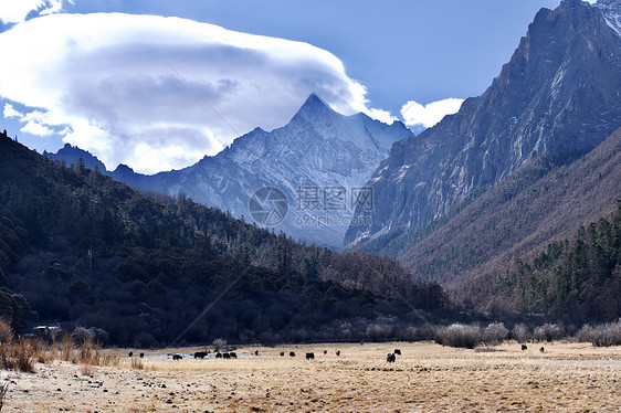 四川川西甘孜梅里雪山风景旅游圣地图片