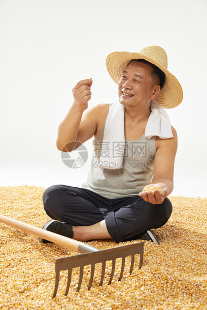 玉米堆里的农民丰收喜悦图片