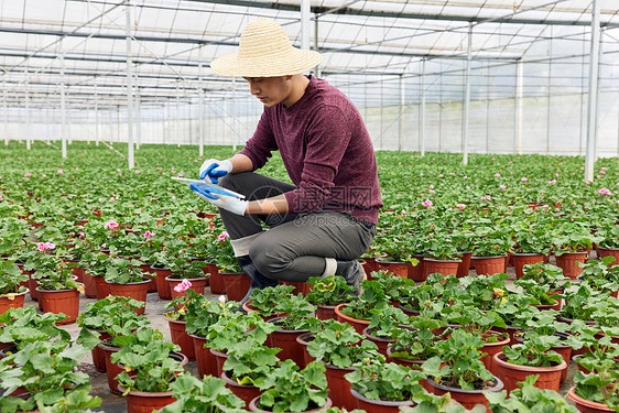 植物养殖基地里的农民图片