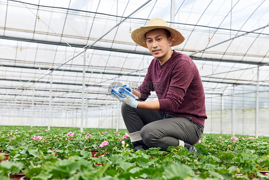 植物养殖基地查看幼苗的花农图片