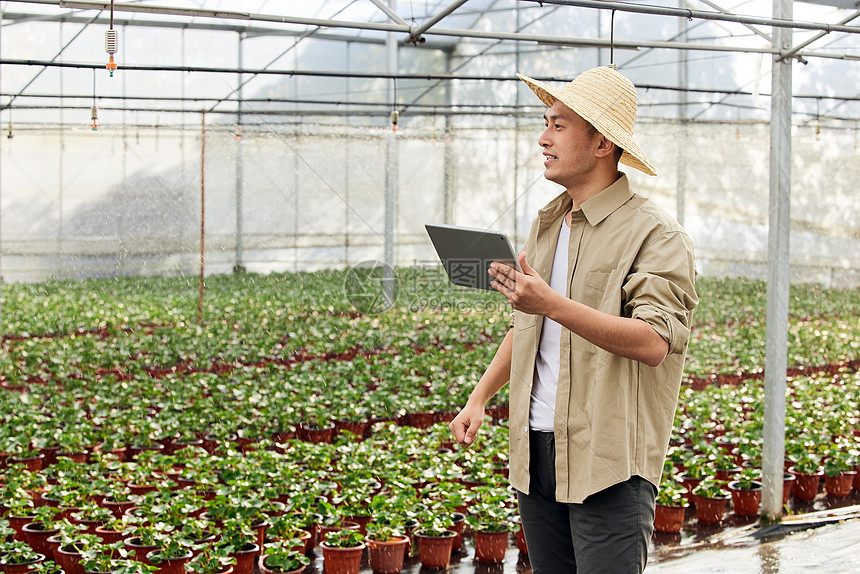 养殖基地内查看植物幼苗的花农图片