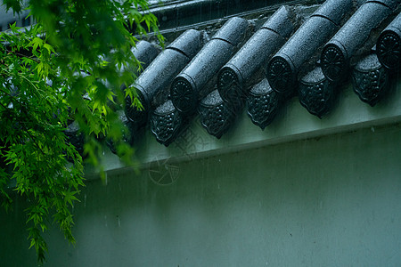 春雨背景图片