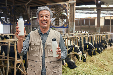 奶牛养殖户展示牛奶图片