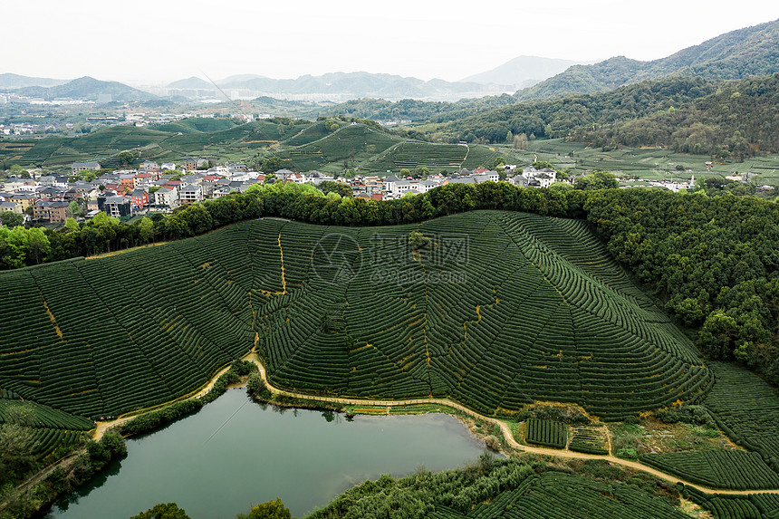 航拍浙江龙坞镇的龙坞茶园村庄景观图片