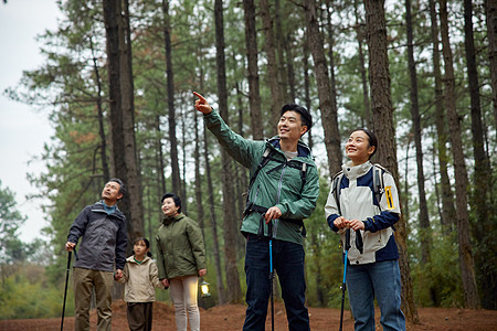 树林中登山徒步的一家五口图片