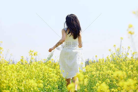油菜花田里奔跑的女性背影图片