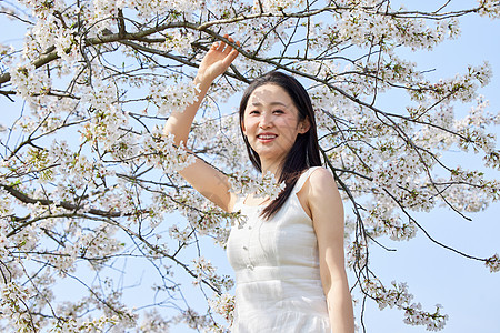 年轻女性春季赏樱花图片
