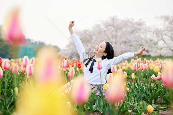 制服少女坐在郁金香花丛中图片