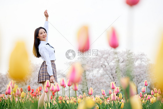 文艺少女站在郁金香花丛中图片