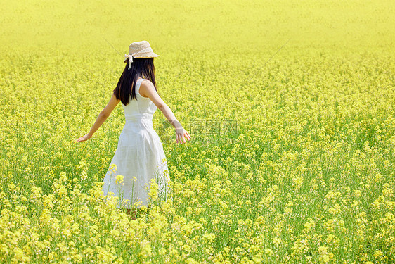 油菜花田中行走的少女背影图片