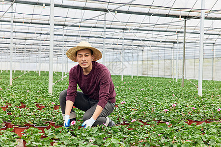 大棚里花农形象图片