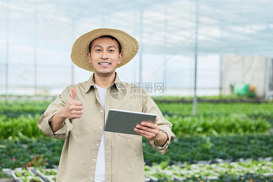 蔬菜大棚手拿平板电脑的农民点赞形象图片