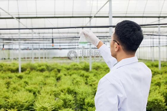 植物大棚研究员采集样本图片