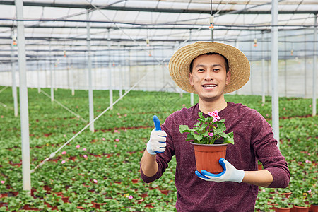 城市绿化花农点赞形象图片