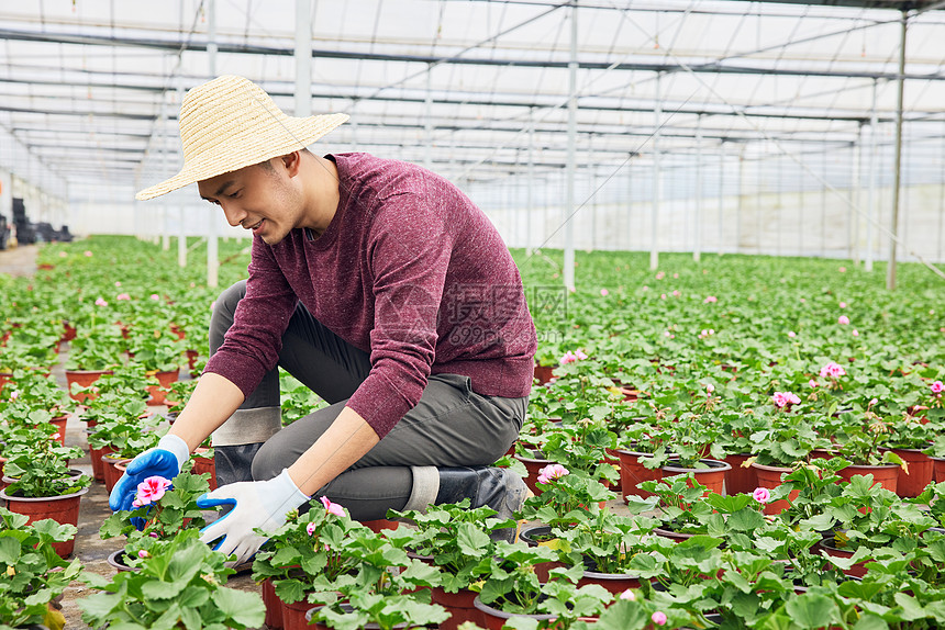 城市绿化花农劳作图片