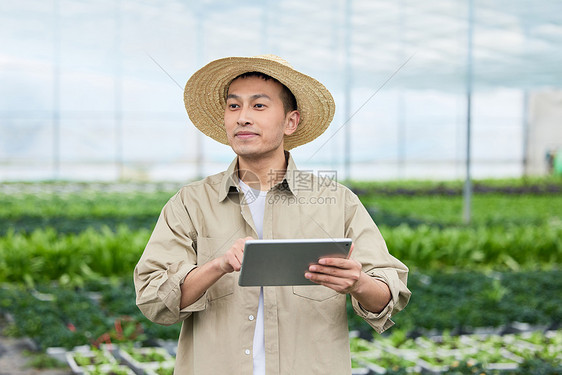 手拿平板电脑农民看向远处图片