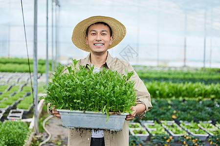 抱着一盆新鲜蔬菜的农民图片