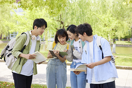 校园里讨论学习的大学生们图片