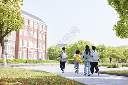 青年节校园里行走的大学生背影背景