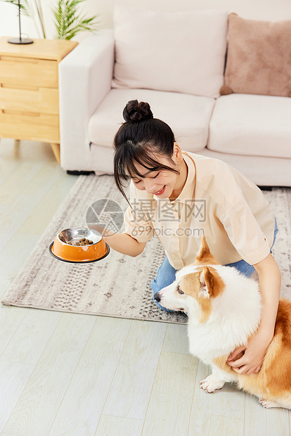 青年女性给狗狗喂食狗粮图片