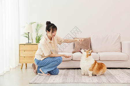 青年女子给爱宠喂冻干零食背景图片