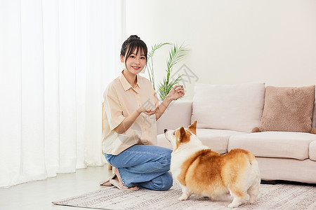 居家女子给爱宠喂冻干零食形象图片