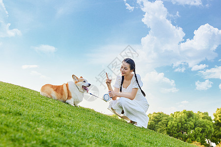 草地上的宠物狗和少女图片