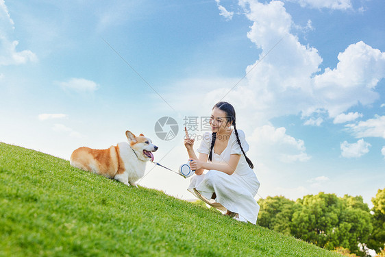 草地上的宠物狗和少女图片