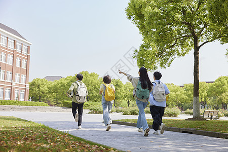 校园里的大学生行走背影高清图片