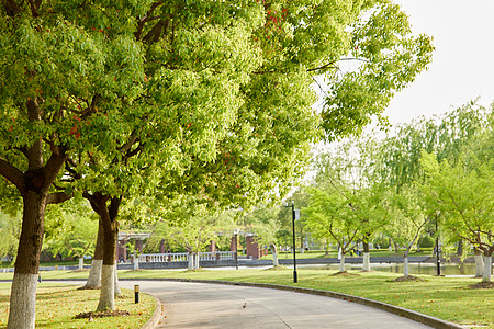 大学校园环境图片