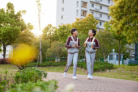 教育新闻小学生上学路上交流背景