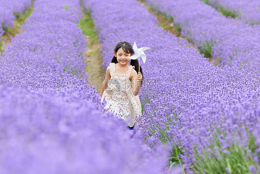 薰衣草花田里手拿风车奔跑的女孩图片