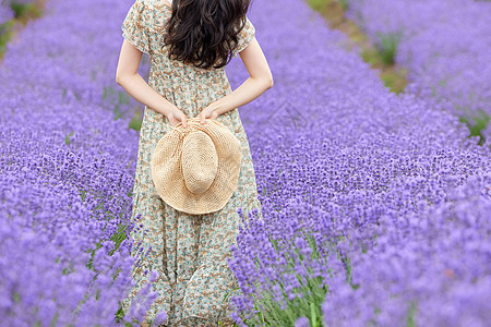 薰衣草花田里戴草帽的女性背影图片