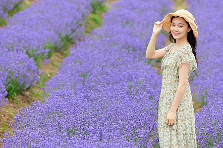 紫色花海薰衣草花田里散步的美女背景