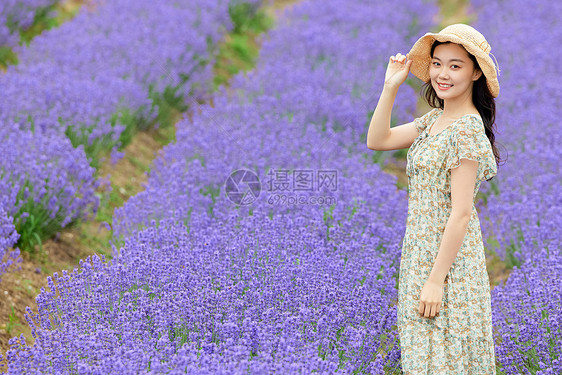 薰衣草花田里散步的美女图片