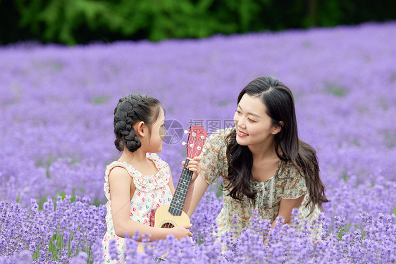 小女孩在薰衣草花田弹尤克里里图片