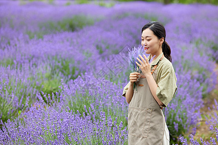 夏日花草蝴蝶女性园丁闻手里的一束薰衣草背景