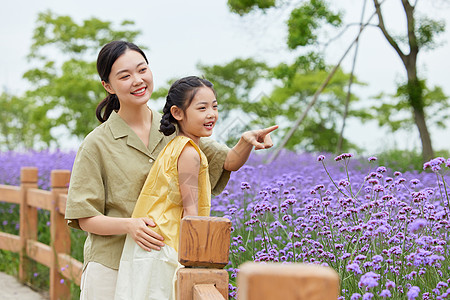 母女在公园一起欣赏薰衣草高清图片