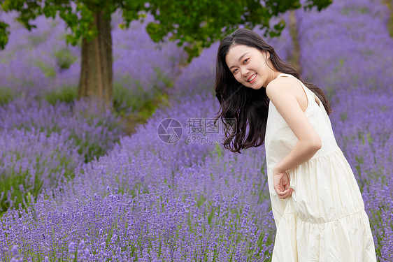 薰衣草花田里回头的美女图片