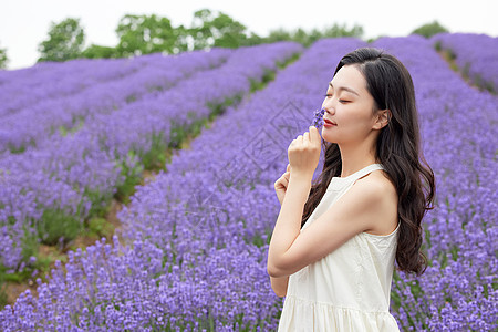 手拿薰衣草的女性图片