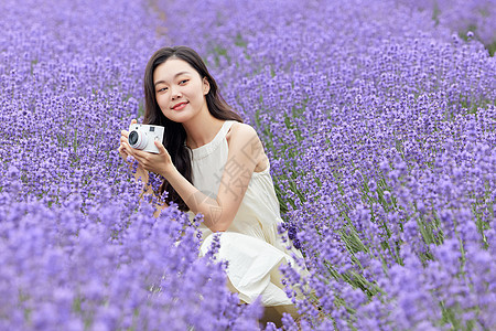 在薰衣草花田里拍照的美女图片