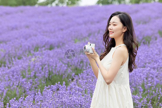 薰衣草花田拍照的女性图片