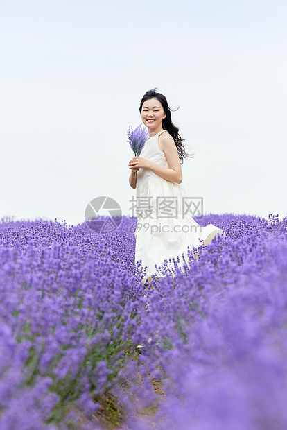 站在薰衣草花田中的美丽女性图片